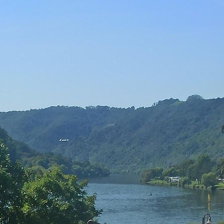 Riesling Διαμέρισμα Hatzenport Εξωτερικό φωτογραφία