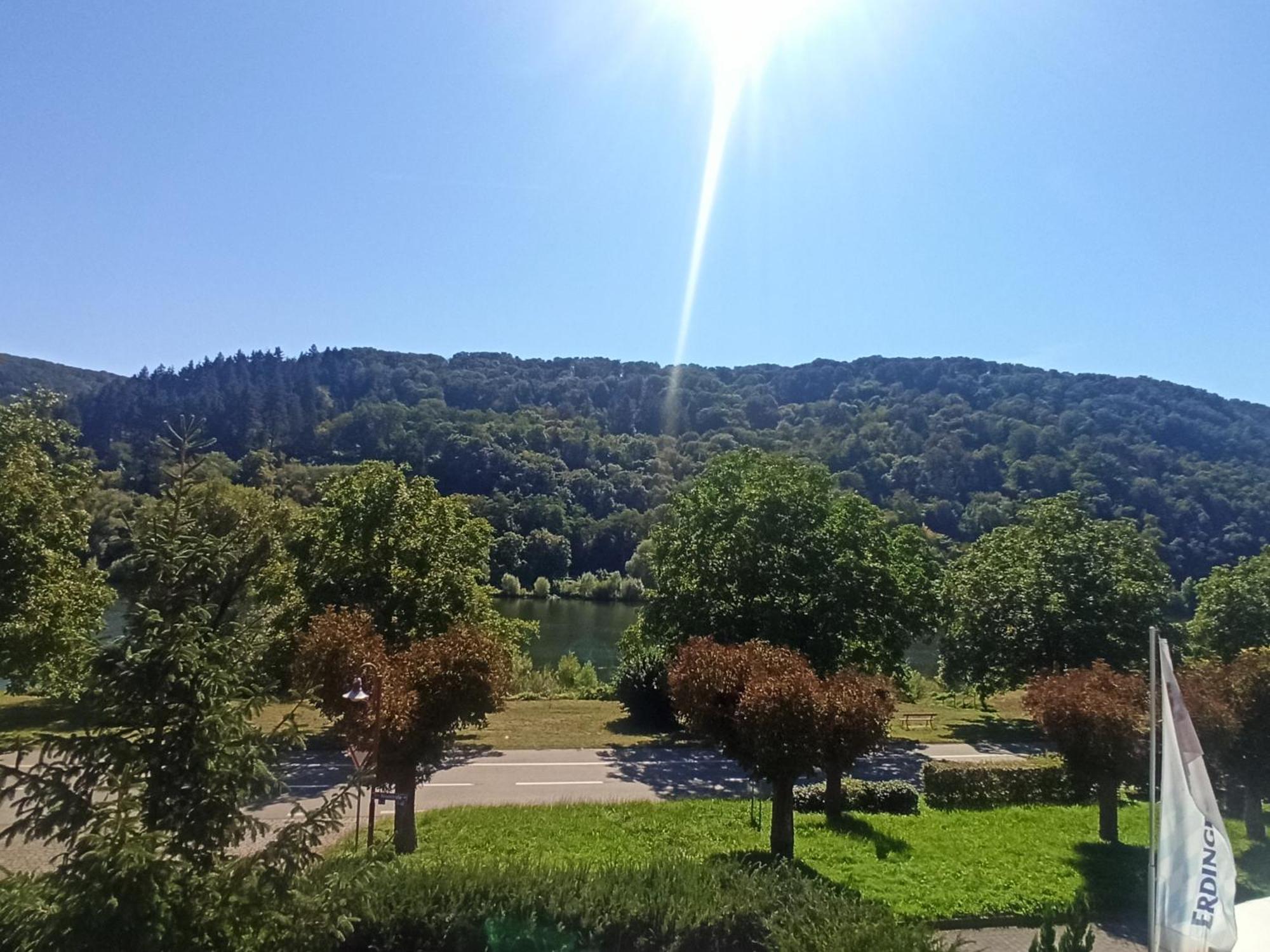 Riesling Διαμέρισμα Hatzenport Εξωτερικό φωτογραφία